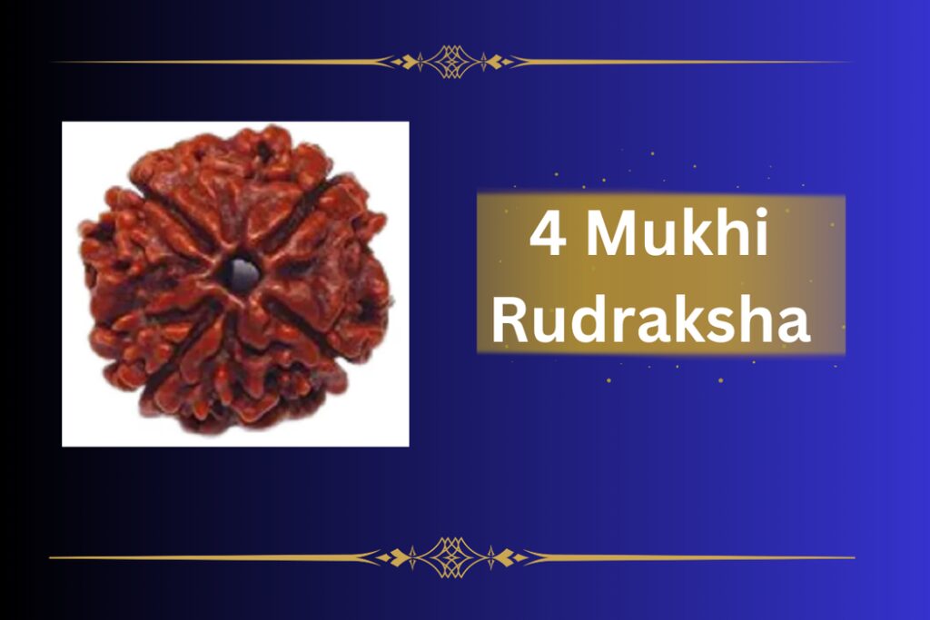 4-Mukhi-Rudraksha
