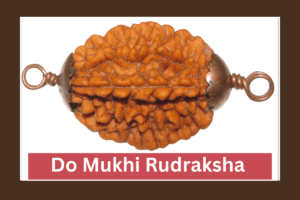 Do-Mukhi-Rudraksha