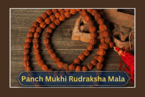 panch-mukhi-rudraksha-mala