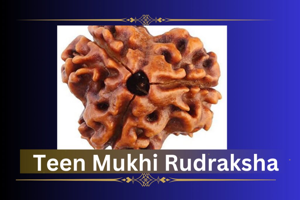 teen-mukhi-rudraksha