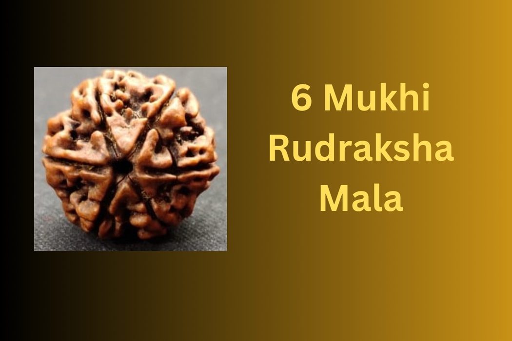 6-Mukhi-Rudraksha-Mala