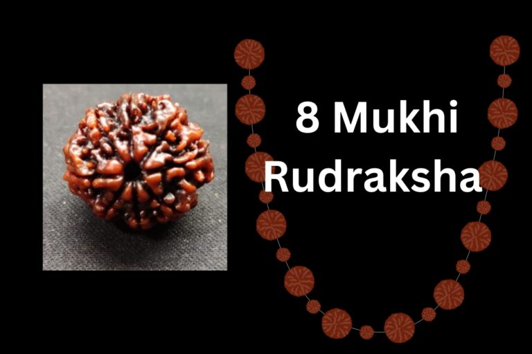 8-Mukhi-Rudraksha
