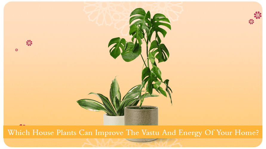 vastu plant